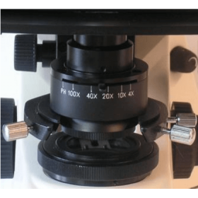 MICROSCOPE BINOCULAIRE DE RECHERCHE OPTICA AXIOM 5000 - Les