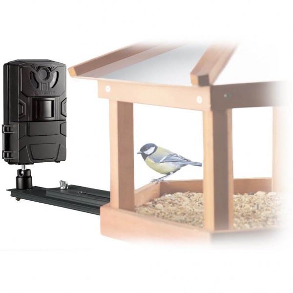 Disponible dès maintenant : Caméra pour la faune sauvage dans la mangeoire  pour oiseaux - digitec