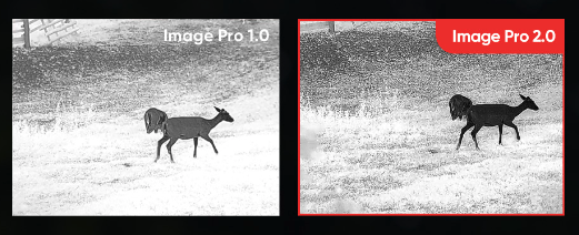 algorithme image pro hikmicro vue chevreuil vision thermique